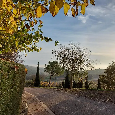 Hotel Monestir De Les Avellanes 3*