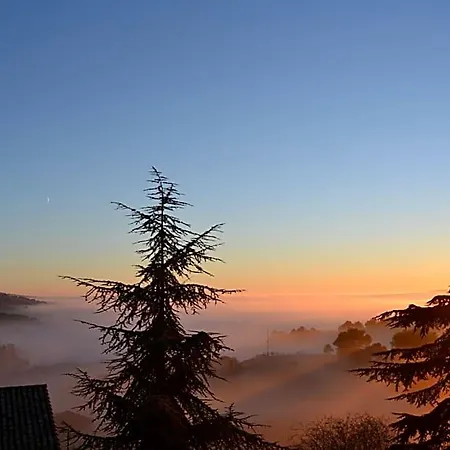 Monestir De Les Avellanes 오스데발라구에르