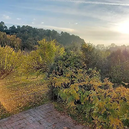 Monestir De Les Avellanes 오스데발라구에르