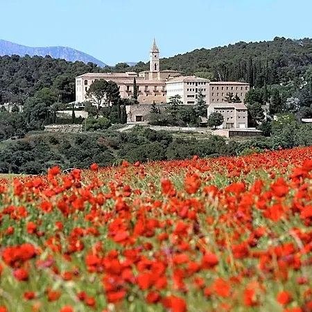 Monestir De Les Avellanes 3* 오스데발라구에르